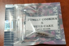 Vente: Jungle cookies x Sherb Cake