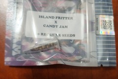 Vente: Island Fritter x Candy Jam