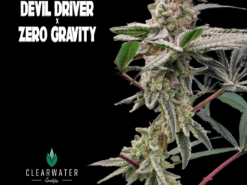 Sell: Devil Driver x Zero Gravity