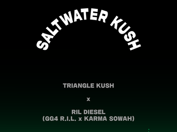 Saltwater Kush