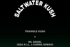 Sell: Saltwater Kush