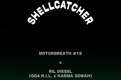 Vente: Shellcatcher