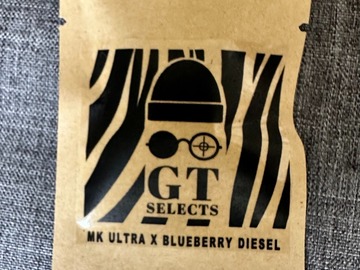 Sell: Mk Ultra x Blueberry Diesel