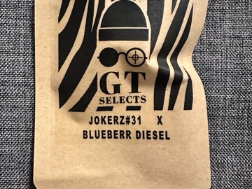 Venta: JOKERZ #31 x Blueberry Diesel