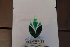 Sell: Clearwater Genetics - Wedding Cake x Blue Razzicle