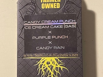 Vente: Candy Cream Punch from Sun Grown Genetics