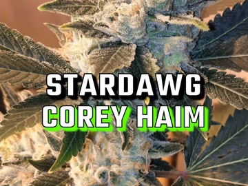 Sell: Stardawg Corey haim