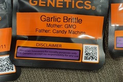 Sell: 808 genetics Garlic Brittle