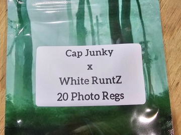 Sell: Cap Junky x White RuntZ - 20 Photo Regs