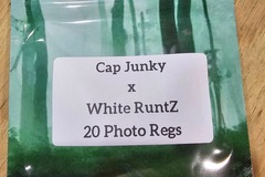 Vente: Cap Junky x White RuntZ - 20 Photo Regs