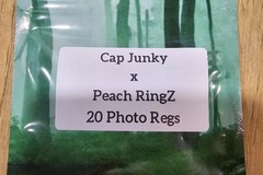 Vente: Cap Junky x Peach RingZ - 20 Photo Regs