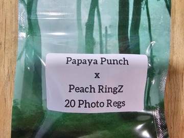 Sell: Papaya Punch x Peach RingZ - 20 Photo Regs