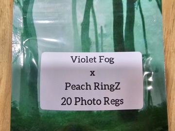 Sell: Violet Fog x Peach RingZ - 20 Photo Regs