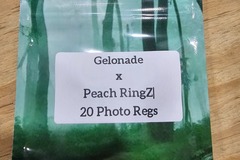 Vente: Gelonade x Peach RingZ - 20 Photo Regs