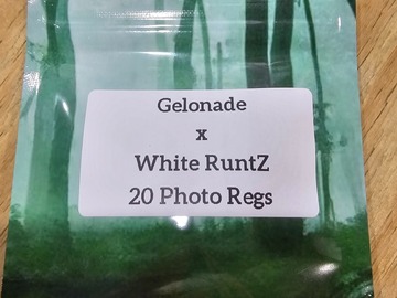 Sell: Gelonade x White RuntZ - 20 Photo Regs
