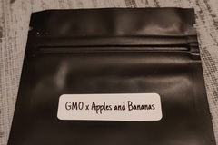 Venta: GMO x Apples and Bananas 8 Feminized Seeds