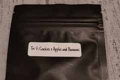 Venta: Tri-Fi Cookies x Apples and Bananas 8 feminized seeds