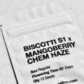 Sell: Biscotti x ChemBerry Mango Haze + Freebies! Very Limited