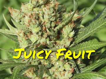 Sell: Juicy Fruit