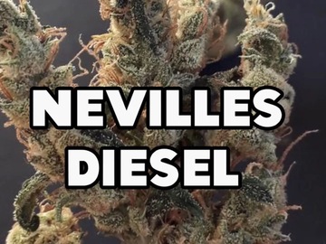 Sell: Neville’s Diesel(blackfriday deal)