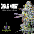 Sell: Grease Monkey