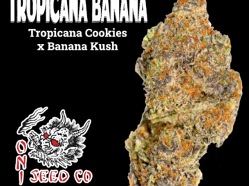 Sell: Tropicanna Banana
