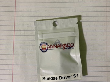 Sell: Sundae Driver S1