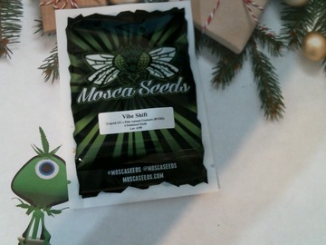 Sell: MOSCA SEEDS – VIBE SHIFT