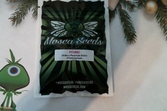 Venta: Mosca Seeds -  P FUNK