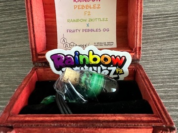 AB Seed Company Rainbow Pebbelz f2. Free shipping