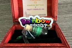 Vente: AB Seed Company Rainbow Pebbelz f2. Free shipping
