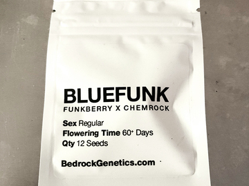 Chem D/Blue Bonic x ChemRock + FREEBIES!