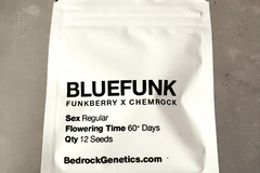 Venta: Chem D/Blue Bonic x ChemRock + FREEBIES!