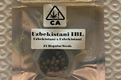 Sell: Uzbekistani IBL from CSI Humboldt