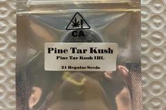 Vente: Pine Tar Kush IBL from CSI Humboldt