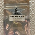 Sell: Pine Tar Kush IBL from CSI Humboldt