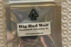 Sell: Big Bad Wolf from CSI Humboldt