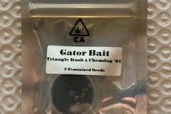 Sell: Gator Bait from CSI Humboldt