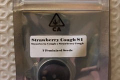 Venta: Strawberry Cough S1 from CSI Humboldt