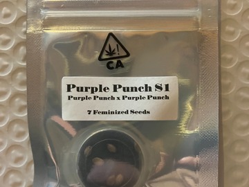 Vente: Purple Punch S1 from CSI Humboldt