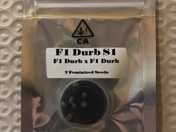 F1 Durb S1 from CSI Humboldt