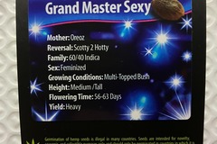 Venta: Grand Master Sexy from Exotic Genetix
