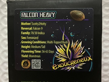 Falcon Heavy from Exotic Genetix