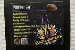 Venta: Project 9 from Exotic Genetix