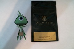 Sell: ATLAS Seeds - Grease Gun (Auto- Day Neutral)