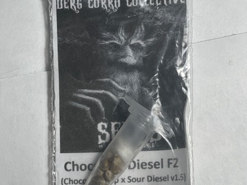 Sell: Derg Corra Collective / San Chocolate Diesel F2 includes pollen