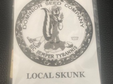 Sell: Local Skunk - Local H x Dominion Skunk - Dominion Seed Company