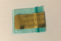 Venta: Bodhi Seeds - Raspberry Sunshine