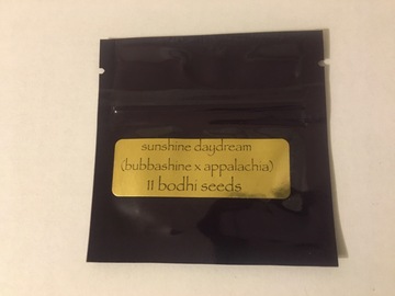 Sell: Bodhi Seeds - Sunshine Daydream