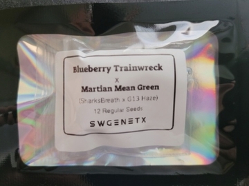 Vente: Blueberry Trainwreck x Martian Mean Green - 6 Regs